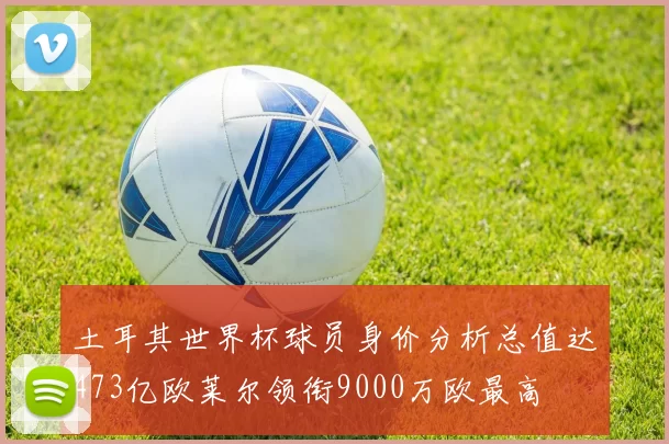 土耳其世界杯球员身价分析总值达473亿欧莱尔领衔9000万欧最高